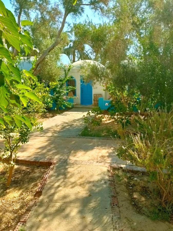 Panta Lodge Siwa Siwa Oasis Exteriér fotografie